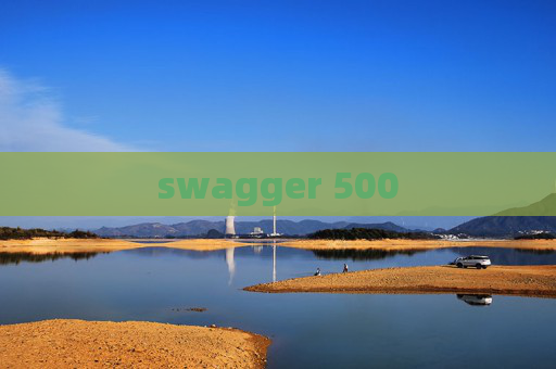 swagger 500